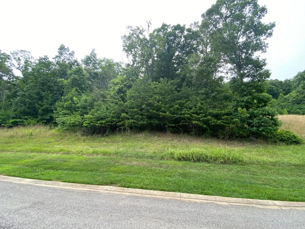 LOT 24 Summit Dr, Rocky Mount, VA 24151 - #1