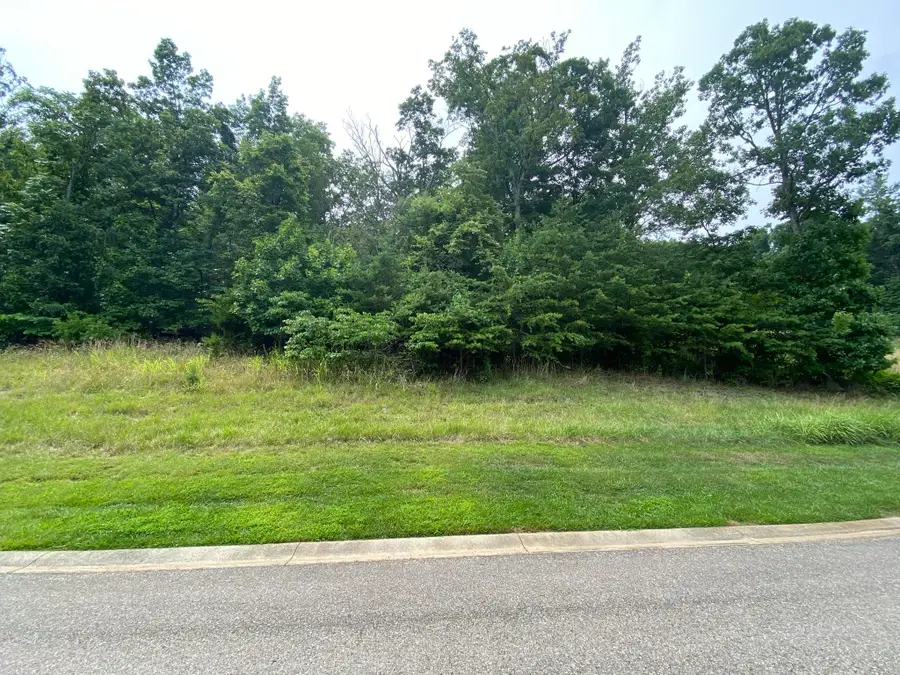 LOT 24 Summit Dr, Rocky Mount, VA 24151 - #2