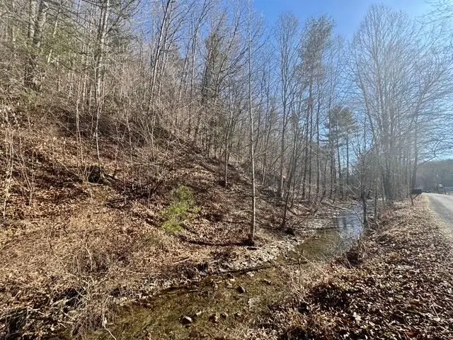 0 Ogle Creek Rd, Covington, VA 24426 - #1