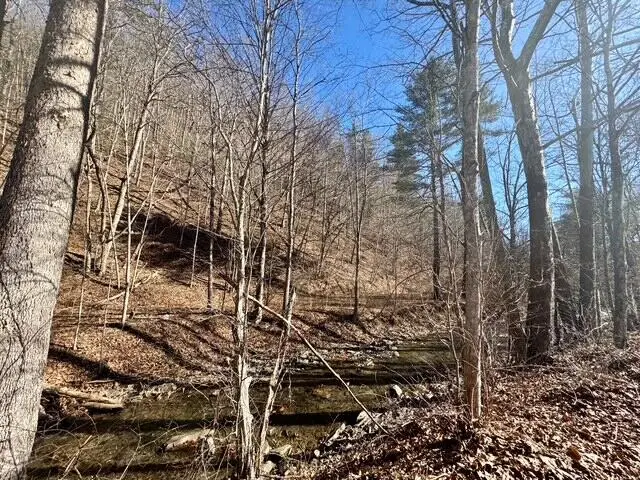 0 Ogle Creek Rd, Covington, VA 24426 - #2