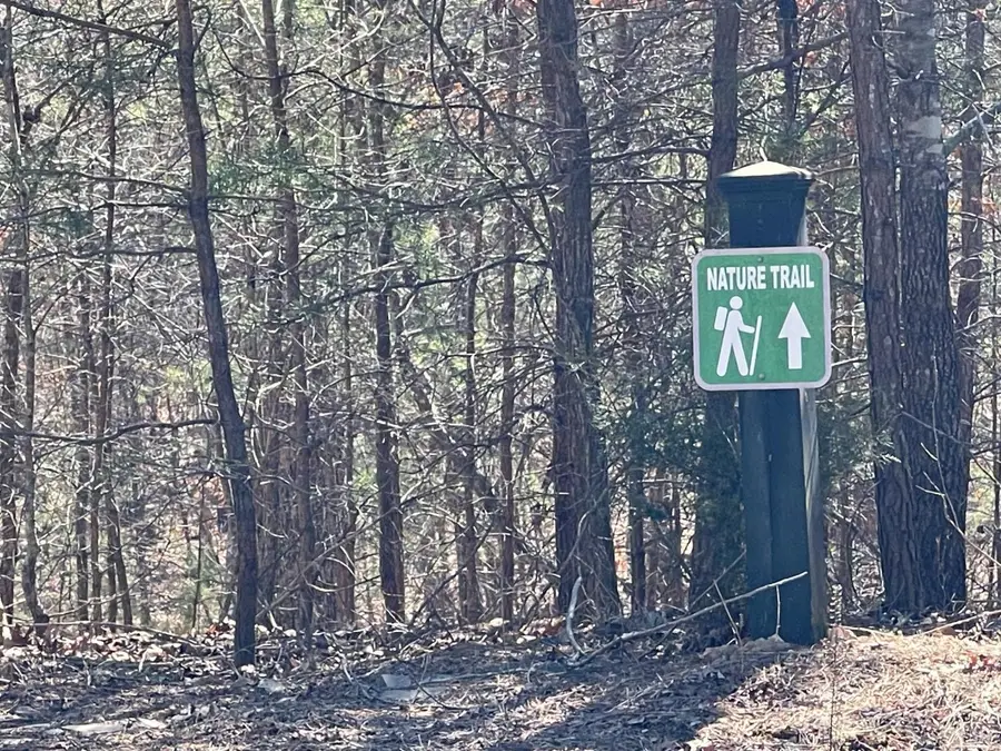 148 Eagle Pointe Shores Dr, Pittsville, VA 24139 - #2