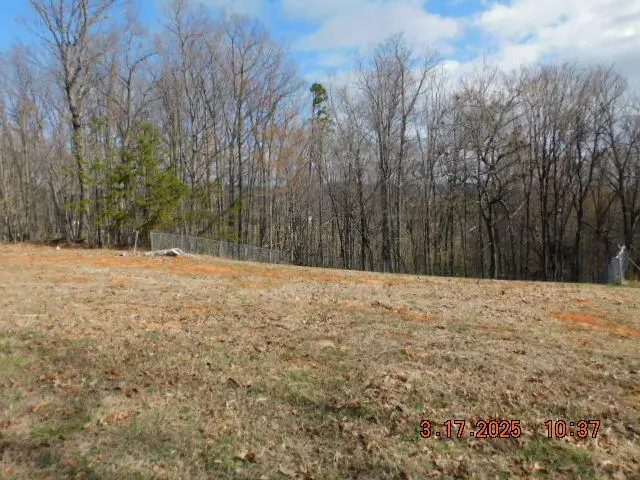 1168 Wilford Hollow Rd, Vinton, VA 24179 - #3