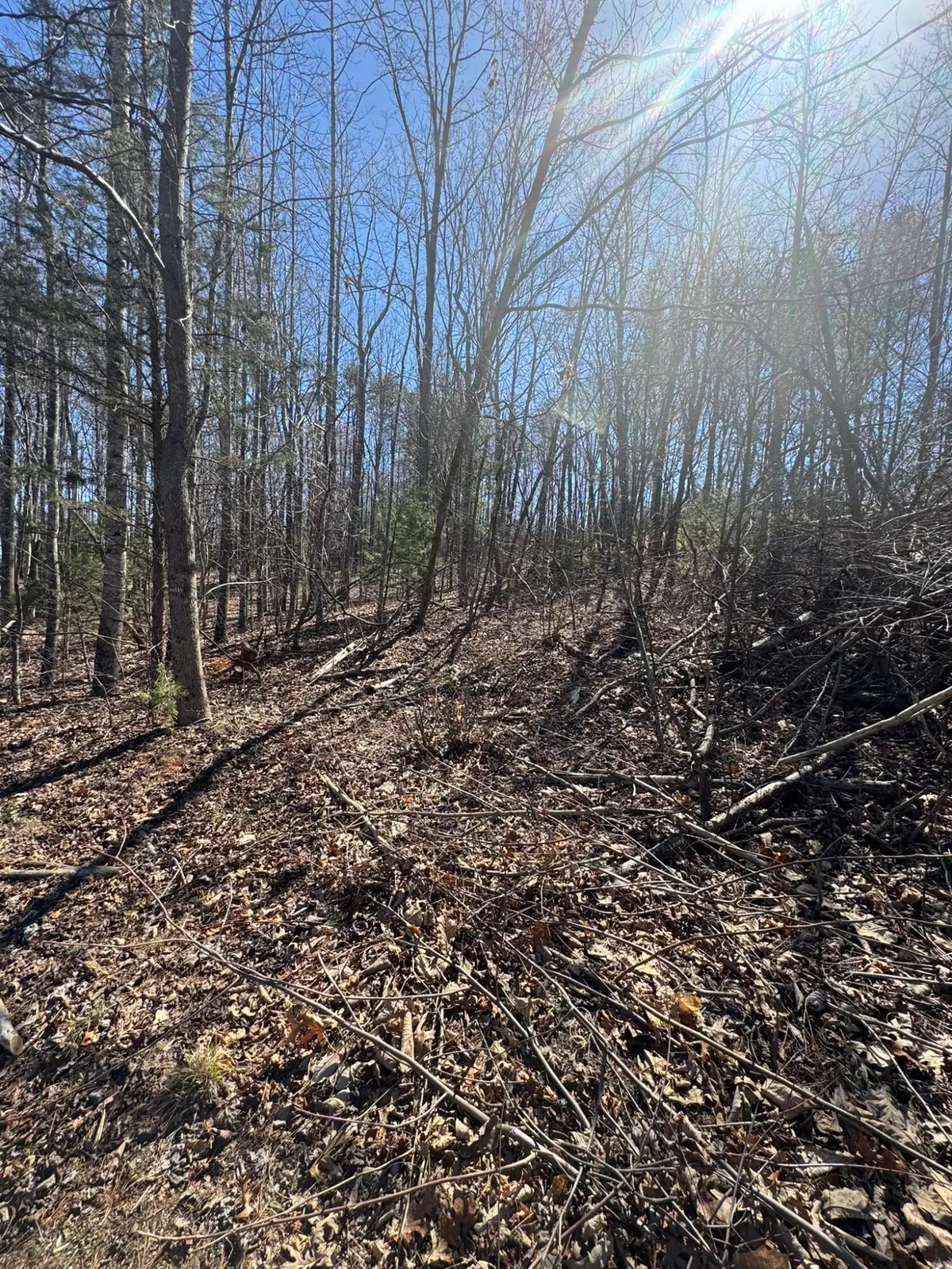 Lot 7A Navajo Cir, Henry, VA 24102 - #1