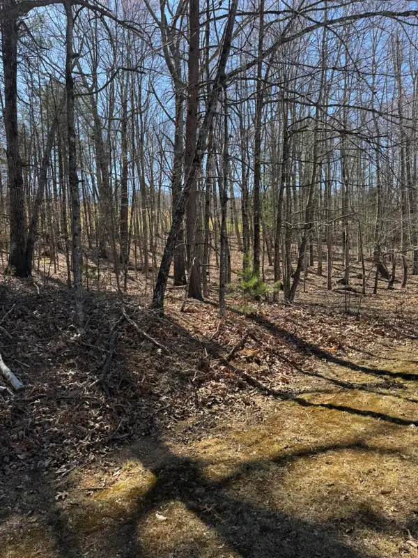 Lot 10A Navajo Cir, Henry, VA 24102