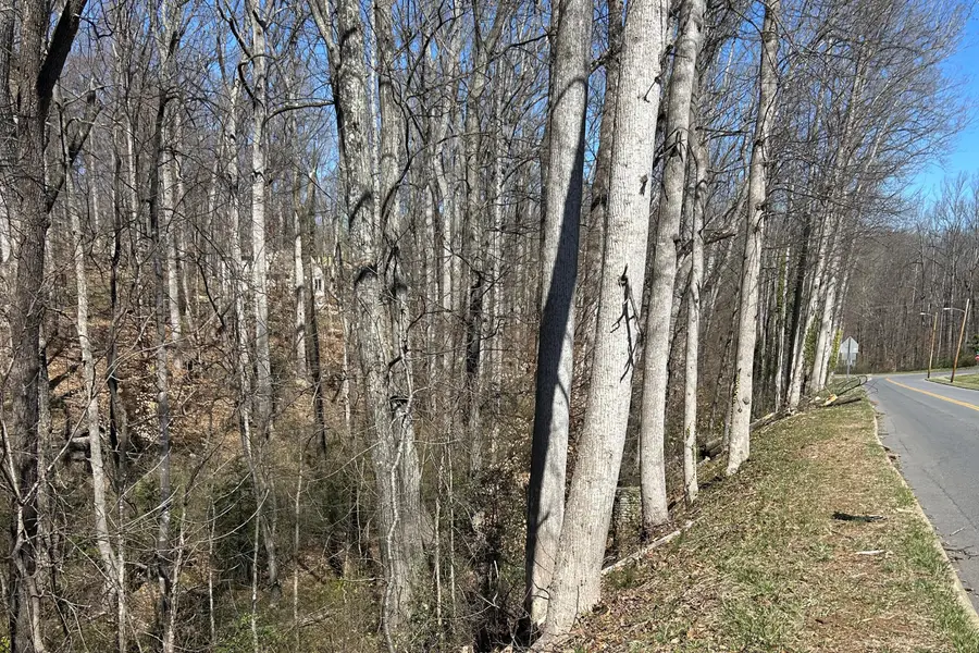 2590 Linkhorne Dr, Lynchburg, VA 24503 - #2