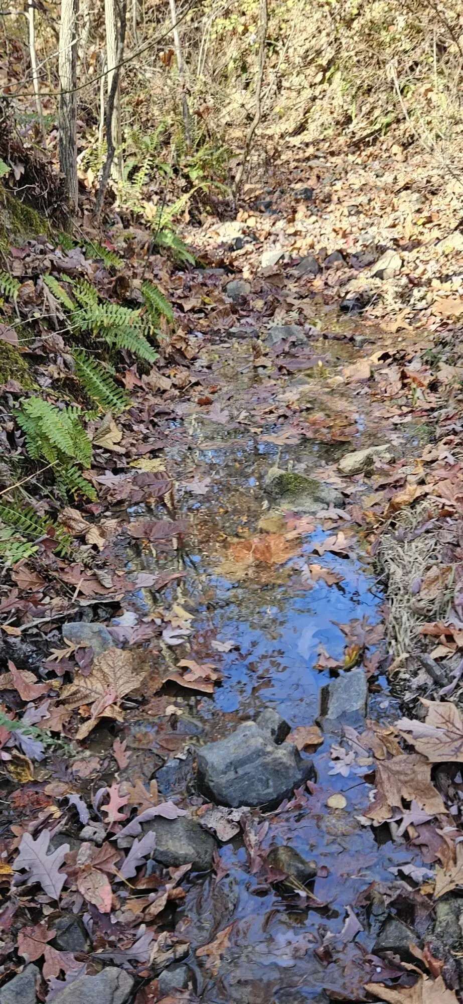 0 Orange Ln, Troutville, VA 24175 - #1