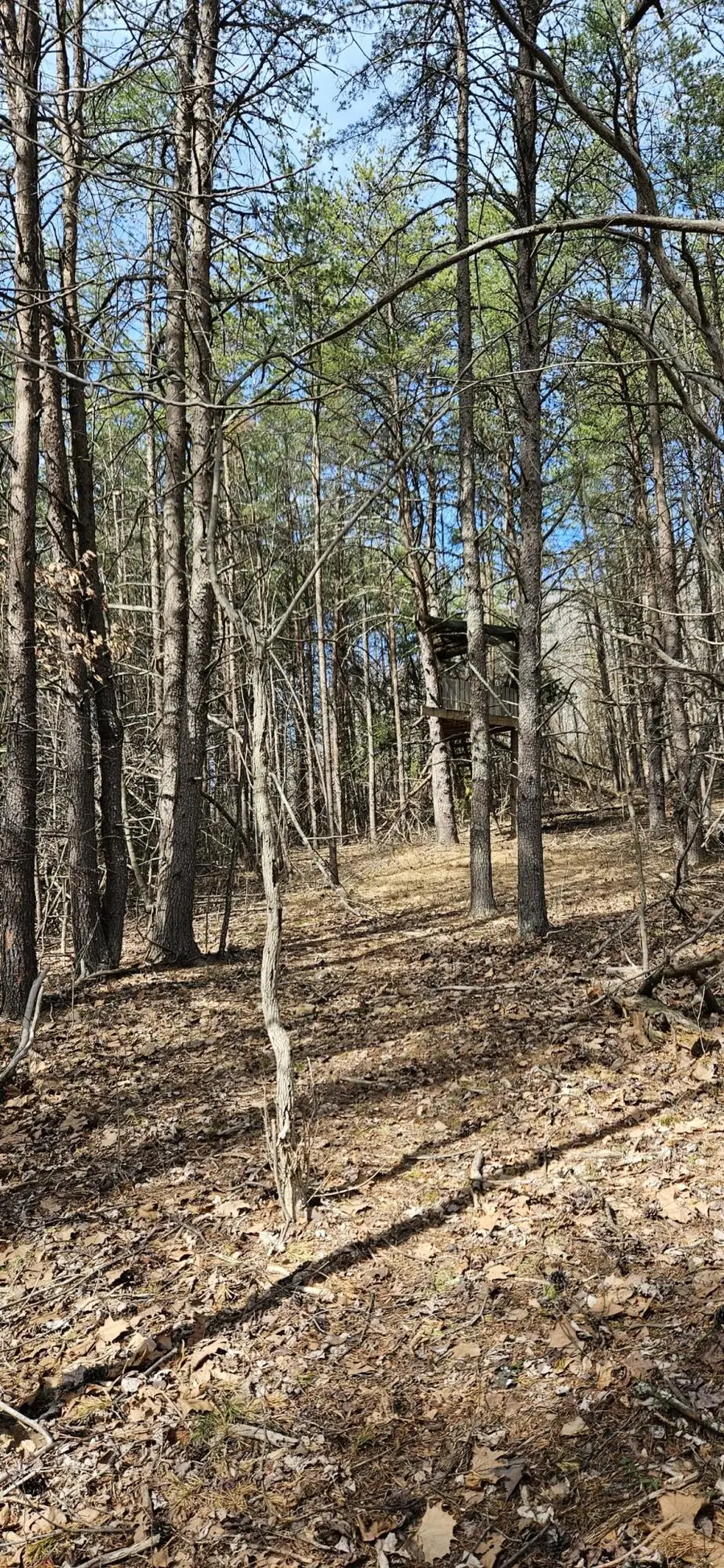 0 Orange Ln, Troutville, VA 24175 - #3