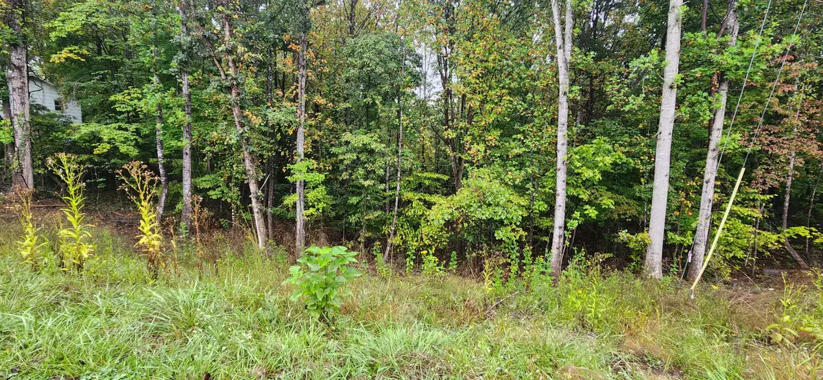 Lot 35/36 Circle View St, Rocky Mount, VA 24151 - #1