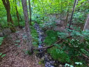 Lot 61 Lakepointe Cove Ct, Glade Hill, VA 24092