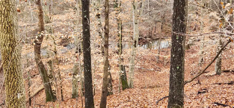 LOT 6 Brooks Mill Rd, Glade Hill, VA 24092 - #2