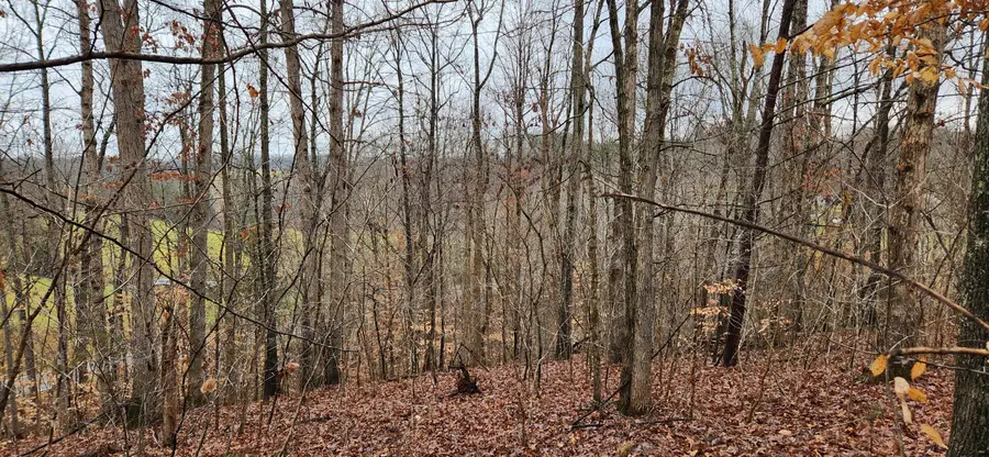 LOT 6 Brooks Mill Rd, Glade Hill, VA 24092 - #3