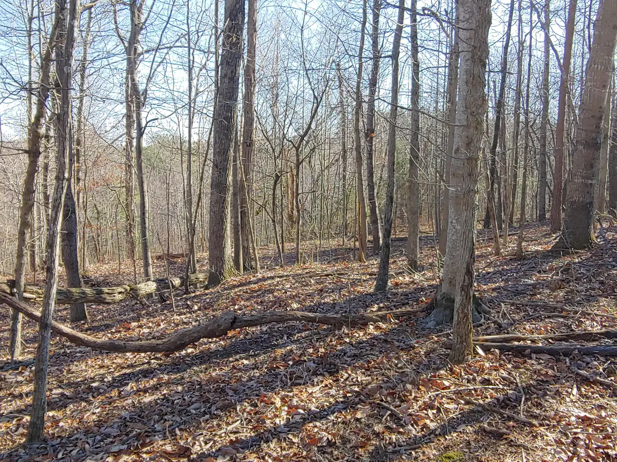 LOT 1 Truman Hill Rd, Hardy, VA 24101 - #1