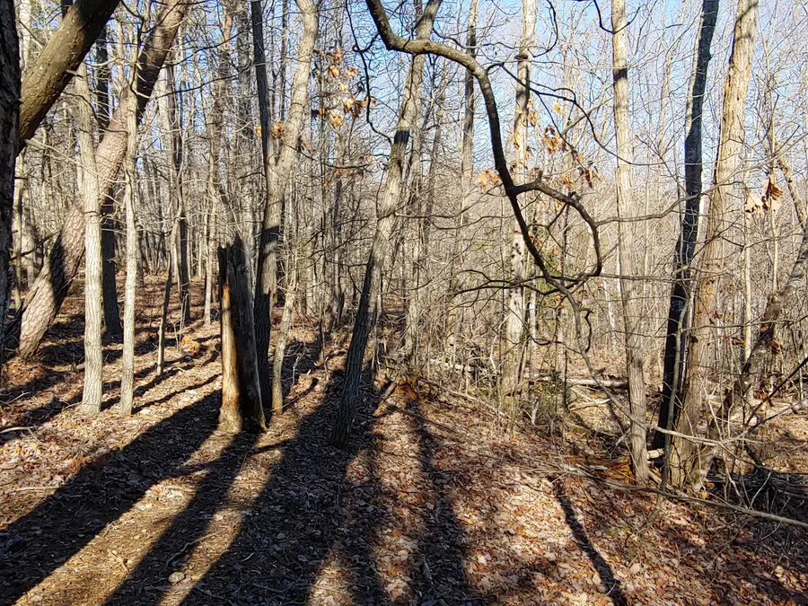 LOT 1 Truman Hill Rd, Hardy, VA 24101 - #2