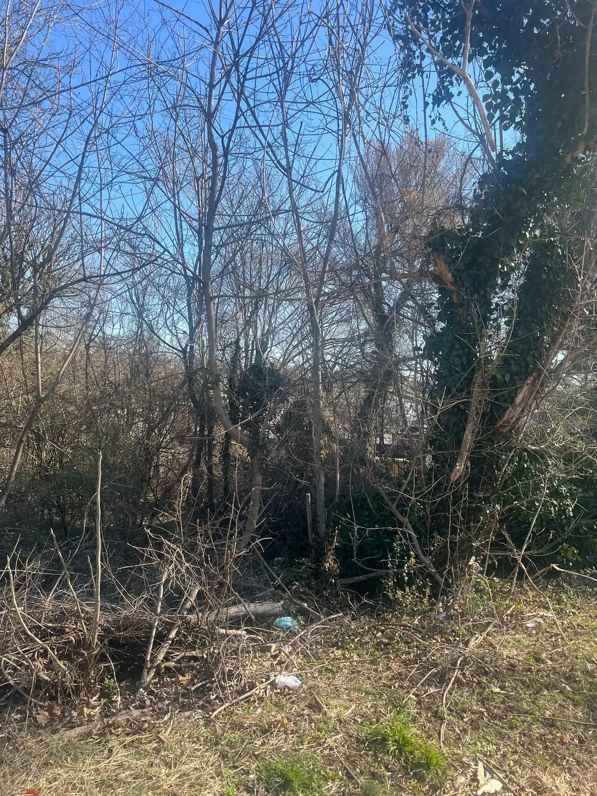 1511 Essex Ave Nw, Roanoke, VA 24017 - #1