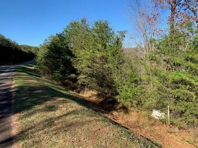 Lot 385 Penninsula Pointe, Lynch Station, VA 24571 - #2