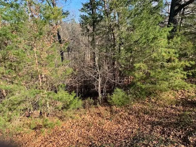 Lot 385 Penninsula Pointe, Lynch Station, VA 24571 - #3