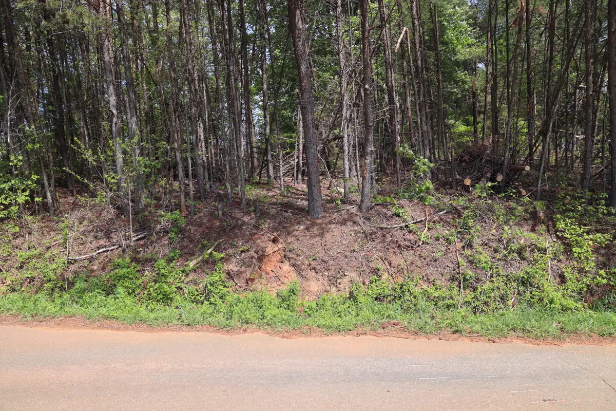 0 Sallys Ridge Rd, Henry, VA 24102 - #1