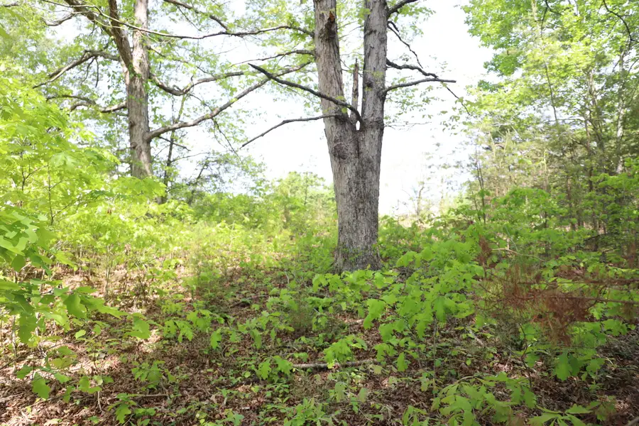 0 Sallys Ridge Rd, Henry, VA 24102 - #2