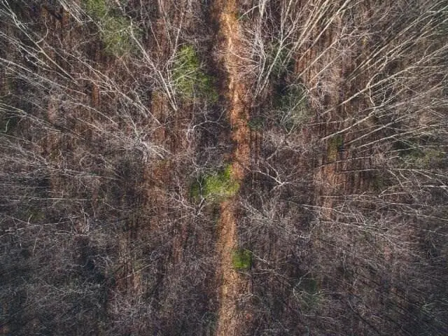 0 Honeysuckle Rd, Elliston, VA 24087 - #2