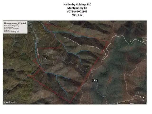 0 Honeysuckle Rd, Elliston, VA 24087 - #3