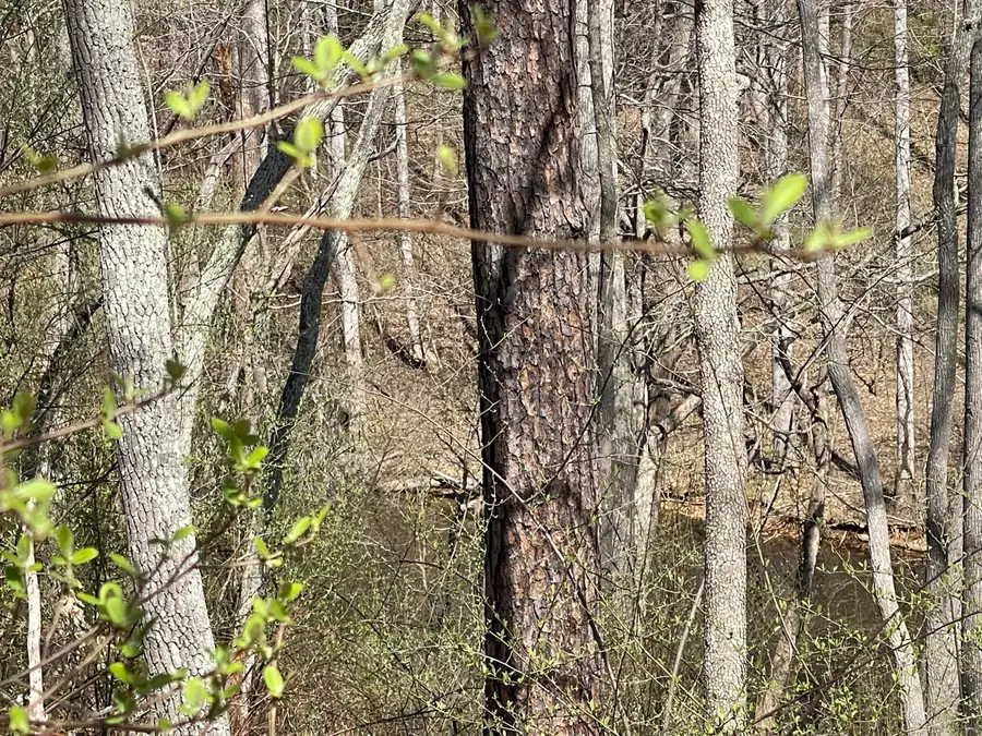 15 Watchtower Dr, Moneta, VA 24121 - #3