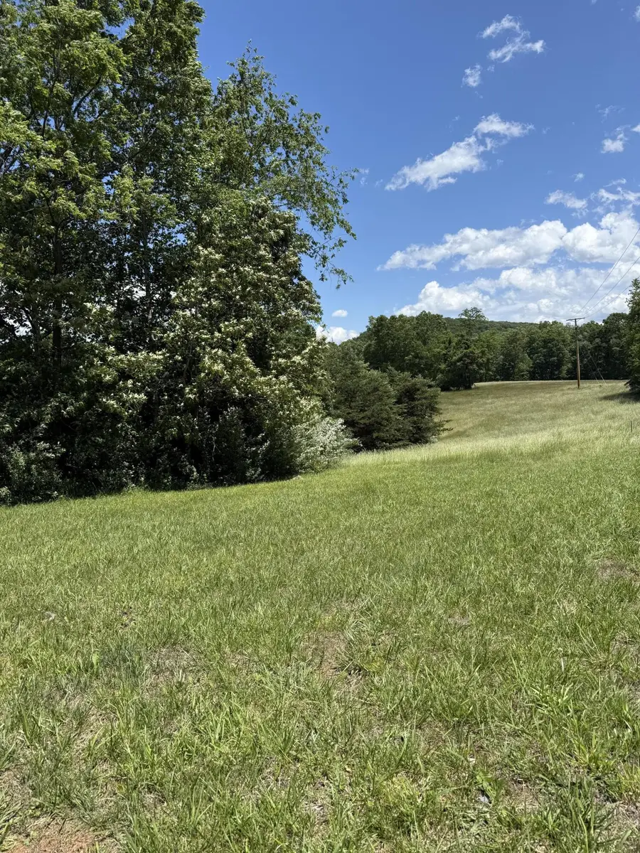 0 Goodview Rd, Goodview, VA 24095 - #3