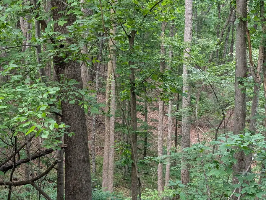 0 Bousman Cir, Hardy, VA 24101 - #2