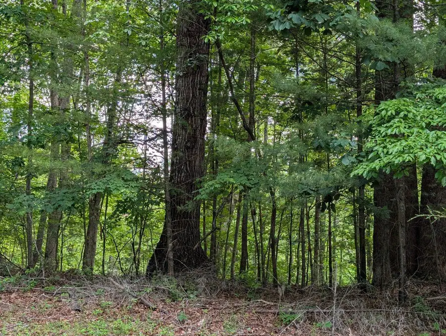 0 Bousman Cir, Hardy, VA 24101 - #3