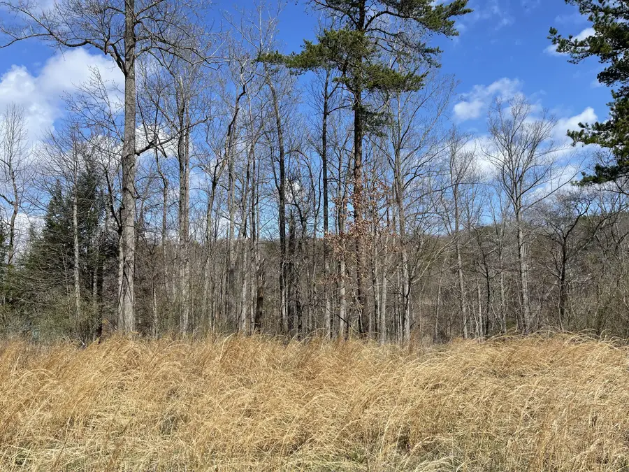 Lot 17 Watchtower Dr, Moneta, VA 24121 - #3