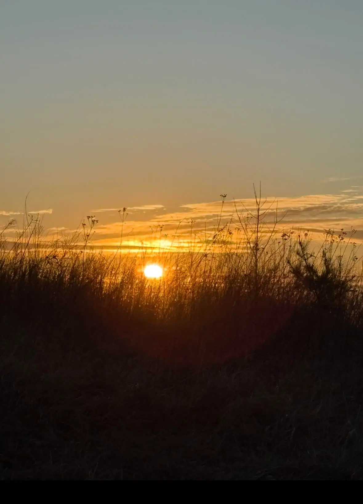 0 Wooldridge Rd, Blue Ridge, VA 24064 - #1