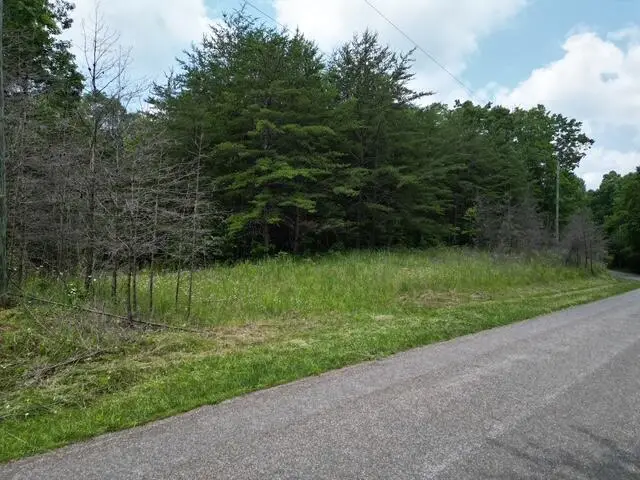 00 Creasey Chapel Rd, Stuart, VA 24171 - #1