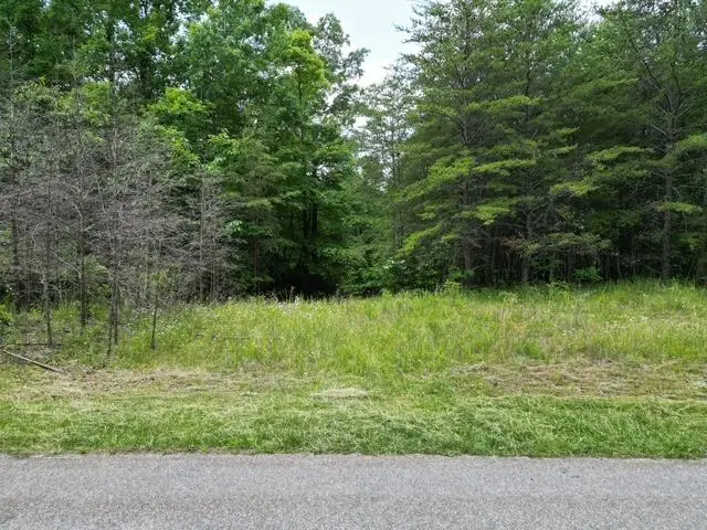 00 Creasey Chapel Rd, Stuart, VA 24171 - #2