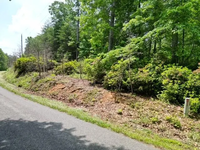 00 Creasey Chapel Rd, Stuart, VA 24171 - #3