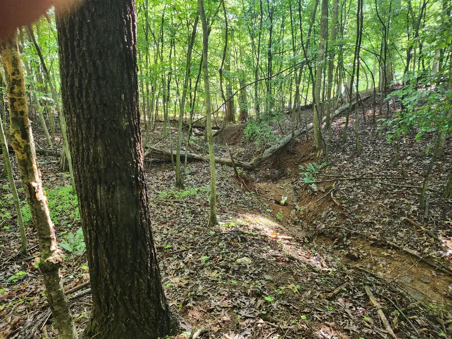 Lot 31 Forest Shores Rd, Wirtz, VA 24184 - #2