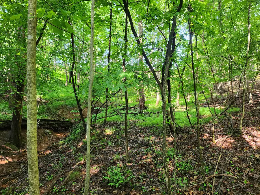 Lot 31 Forest Shores Rd, Wirtz, VA 24184 - #3