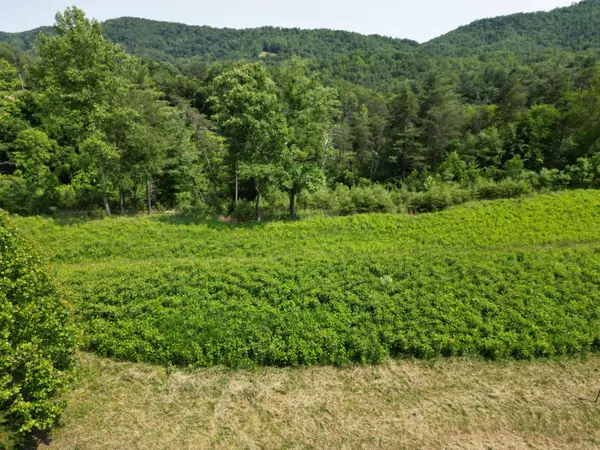 Lot 31-35 River Rock Rd, Vinton, VA 24179