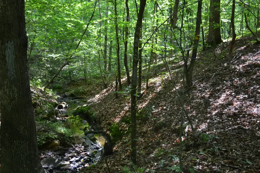 0 Hackberry Ln, Glade Hill, VA 24092 - #3