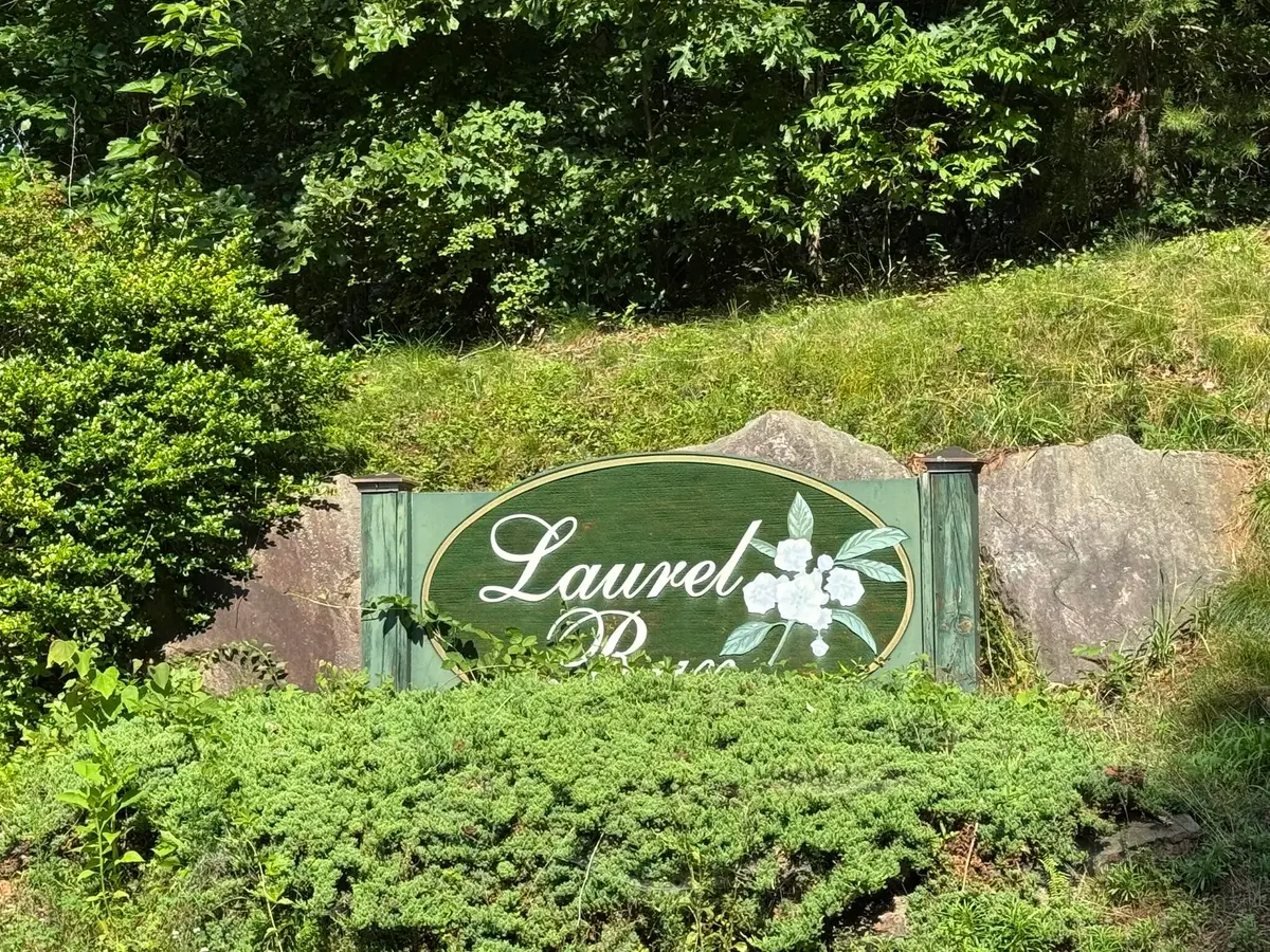 Tract 11 Mint Ln, Callaway, VA 24067 - #1