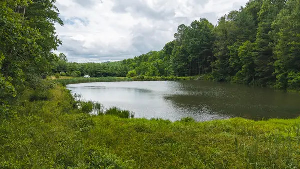 0 Ferney Creek Rd Nw, Willis, VA 24380