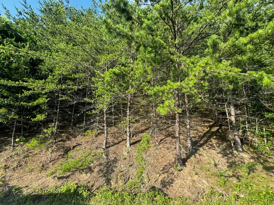 0 Teresa Ln, Cloverdale, VA 24019 - #3