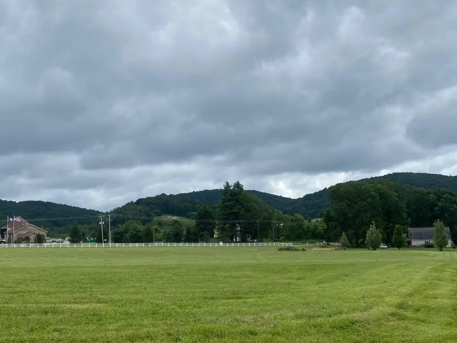 9727 Bent Mountain Rd, Bent Mountain, VA 24059 - #2