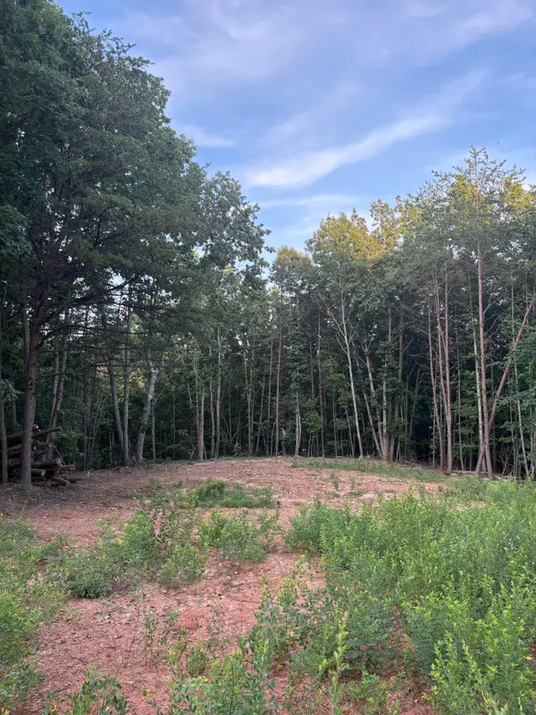 0 Lookout Mountain Rd, Martinsville, VA 24112