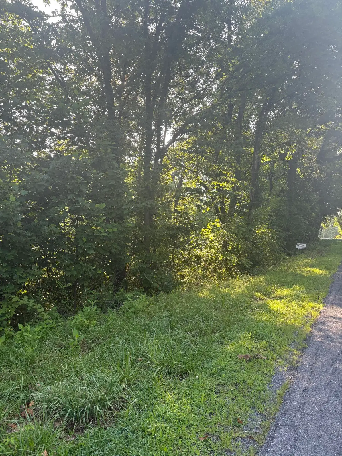 0 Oak Ridge Rd, Buchanan, VA 24066 - #1