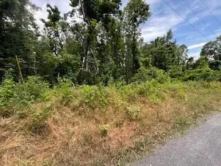 Lot 17 Whispering Heights Dr, Hardy, VA 24101 - #2