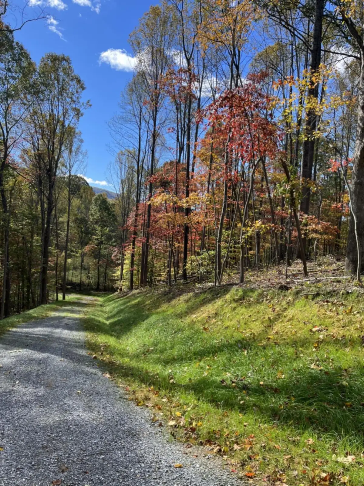 0 Little Catawba Creek Rd, Troutville, VA 24175 - #1