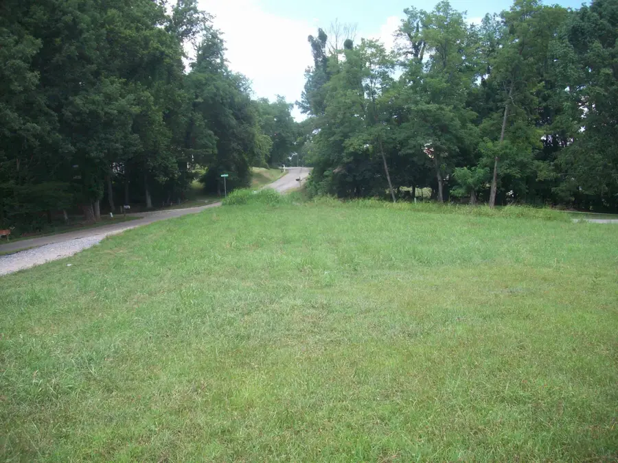 Lot 1 Horseshoe Bend Rd, Goodview, VA 24095 - #2