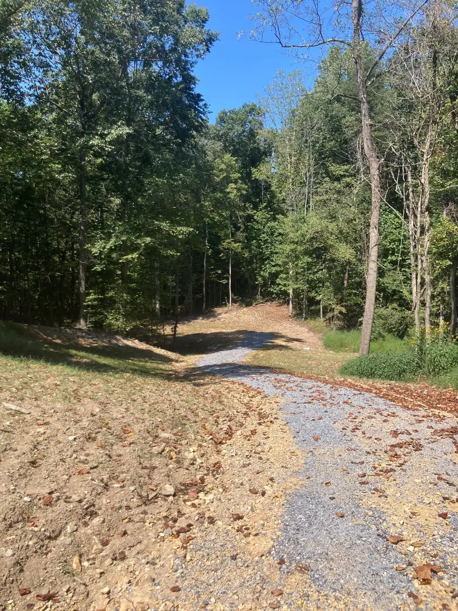 0 Creasy Rd, Blue Ridge, VA 24064 - #2