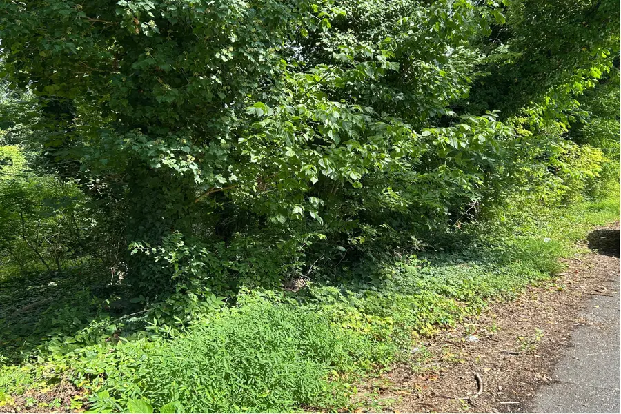 0 Brooke St, Brookneal, VA 24528 - #2