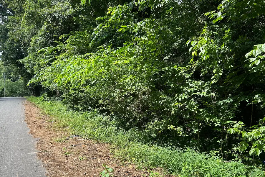 0 Brooke St, Brookneal, VA 24528 - #3