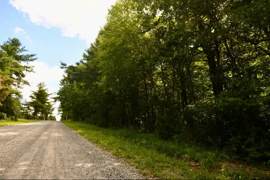 0 Ridge Oak Dr Se, Copper Hill, VA 24079 - #2